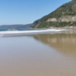 Lorne